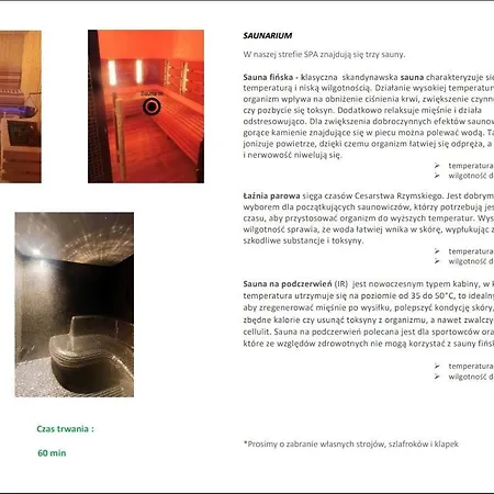 Blue & Office Kudowa-zdroj 公寓 *